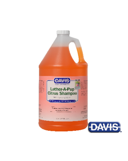 【Davis】ラザーアパップ シトラスシャンプー