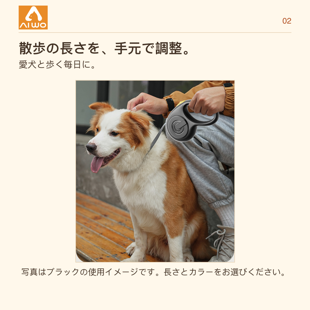 AIWO サイクロン伸縮リードを手に持ち犬と過ごす公式使用イメージ