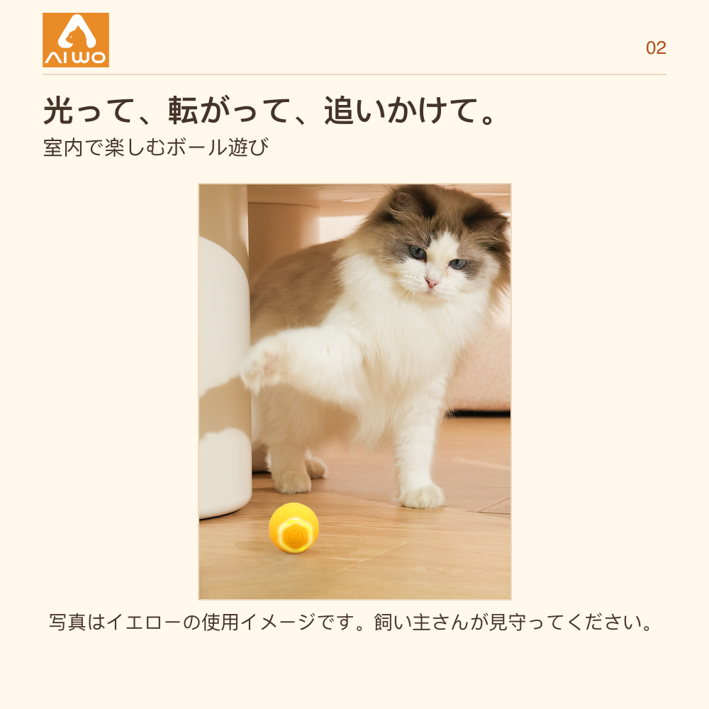 AIWO フラワー型ローリングボールと猫の室内使用写真