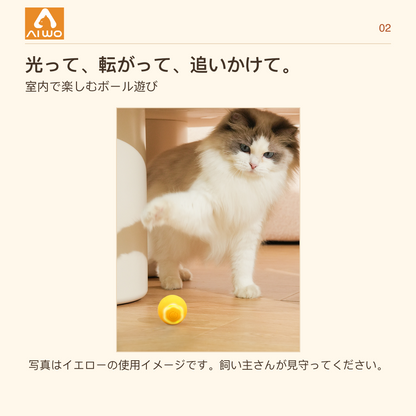 AIWO フラワー型ローリングボールと猫の室内使用写真
