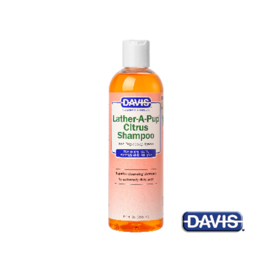 【Davis】ラザーアパップ シトラスシャンプー - 355 ml