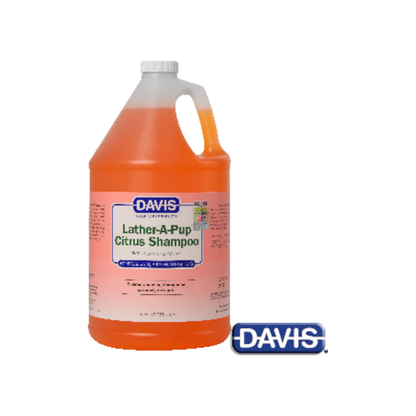 【Davis】ラザーアパップ シトラスシャンプー - 3780 ml