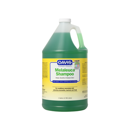 【Davis】メラルーカシャンプー - 3780 ml