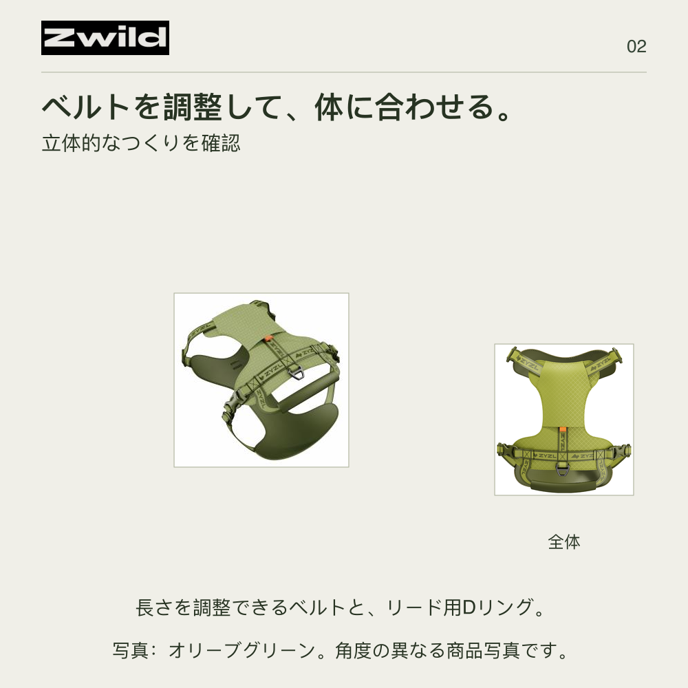 Zwild ベルトを調整して、体に合わせる。